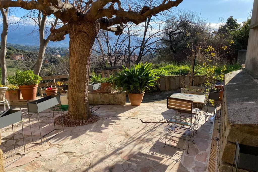 Alata Maison Typique Corse A 10 Min D'Ajaccio Et Plages מראה חיצוני תמונה
